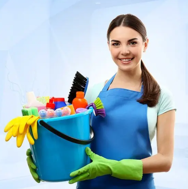 Professional home cleaner